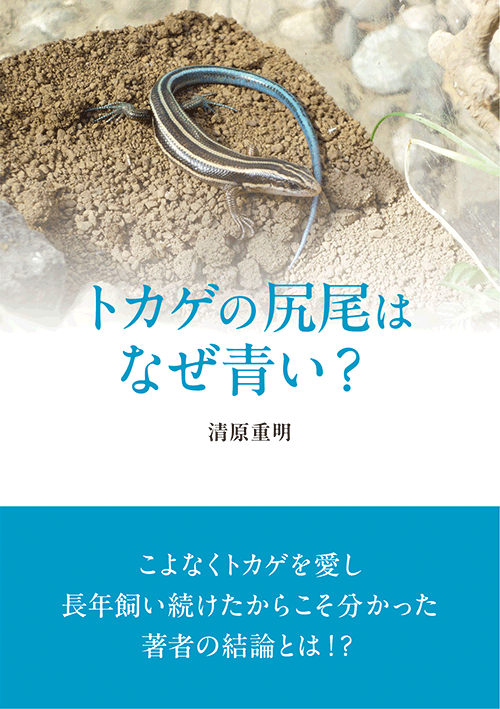 書籍画像「トカゲの尻尾はなぜ青い？」